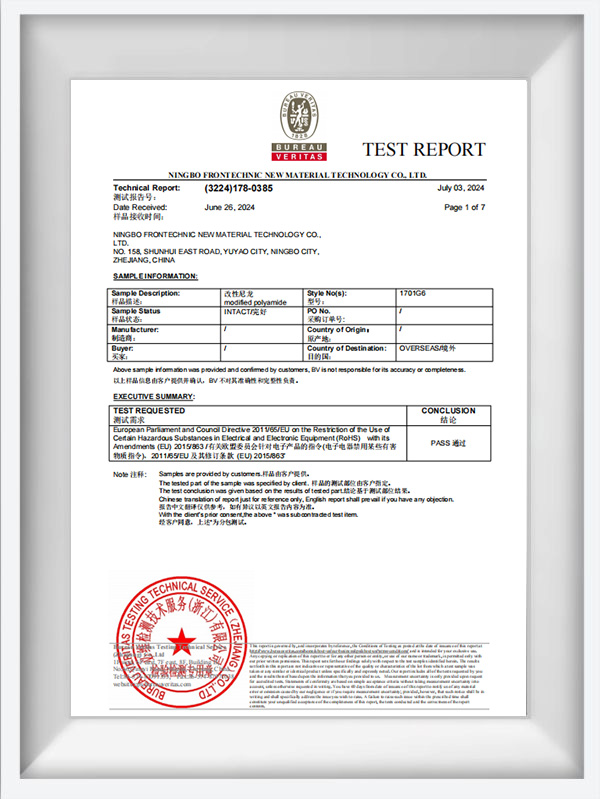 1000 NAT Series Test Report